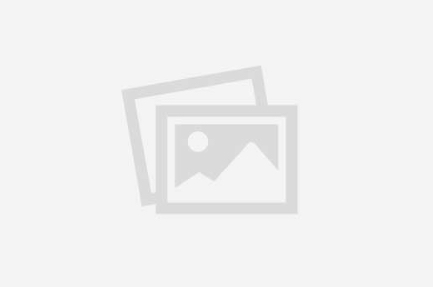 ايفون 17 برو ماكس 256GB